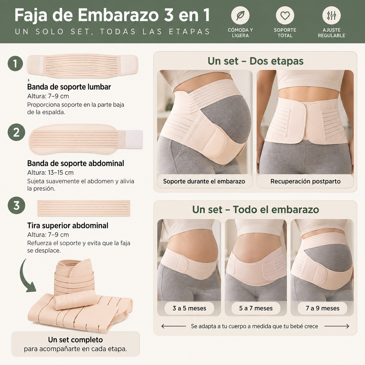 Faja 3-1 Gran Mami